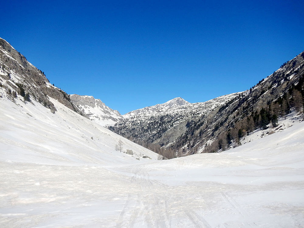 Vallon d'Ambin : Maurienne